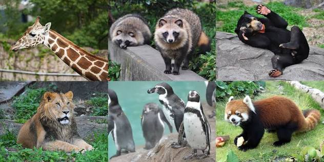 東山動植物園
