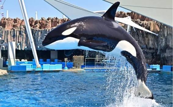 名古屋港水族館